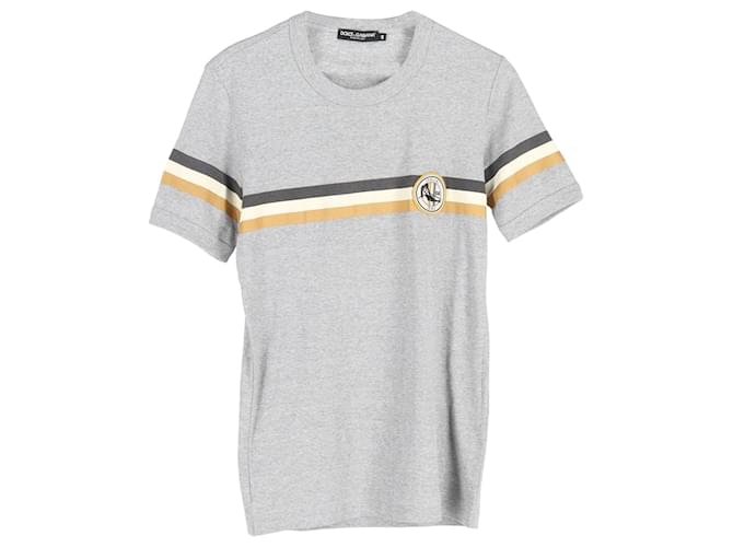 T-shirt Ski Badge Dolce & Gabbana in cotone grigio Marrone