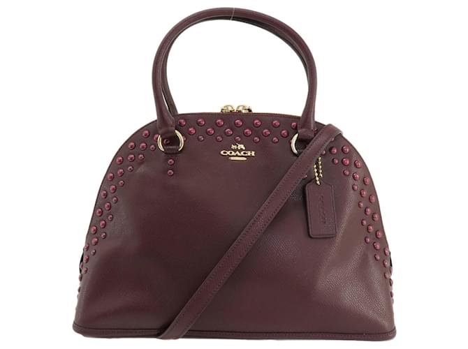 Coach Cartella dell'allenatore Bordò