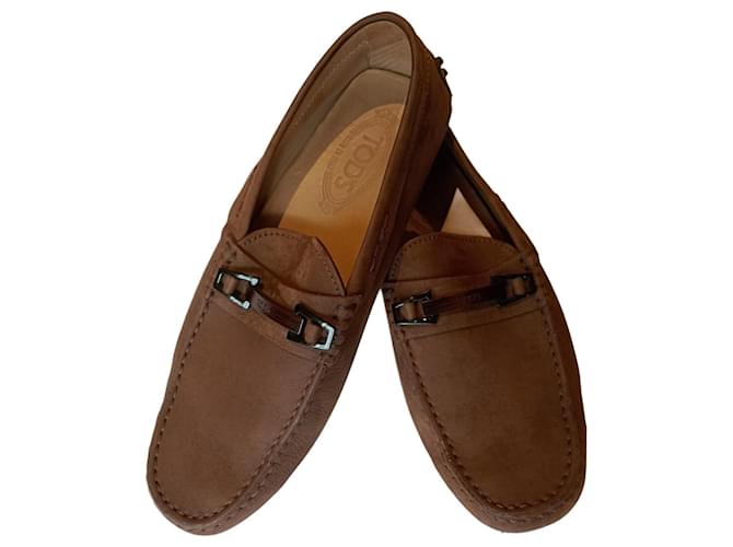 Tod's JC1589159 Marrone