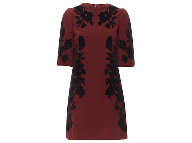 Abito sheath in velluto crêpe devoré Dolce & Gabbana Rosso