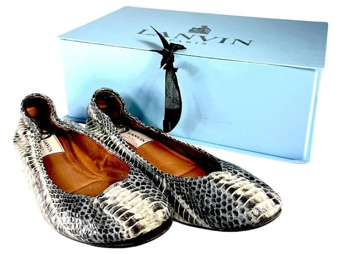 Ballerine in pelle di pitone goffrata LANVIN Multicolore