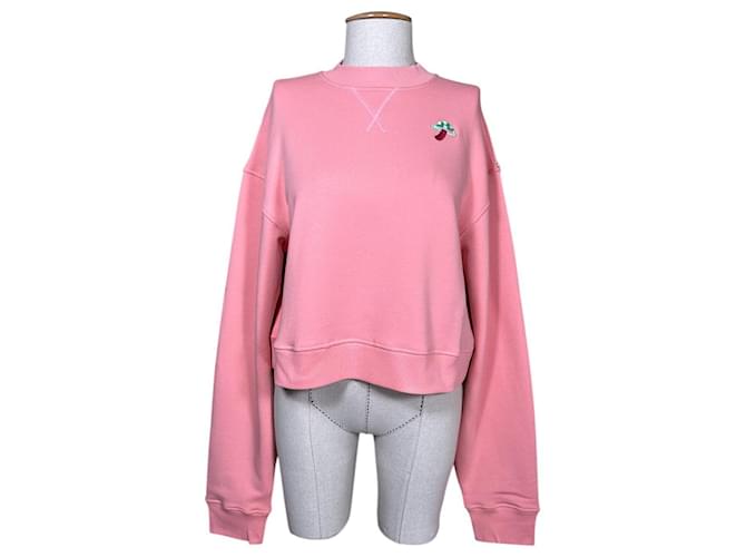 Sportmax Maglioni di lana Rosa