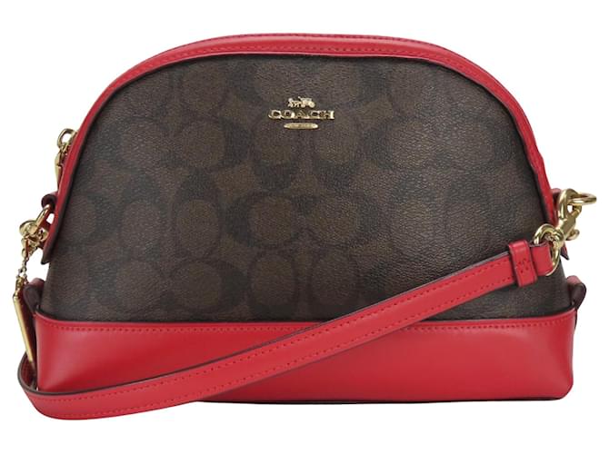 Coach Allenatore Bordò