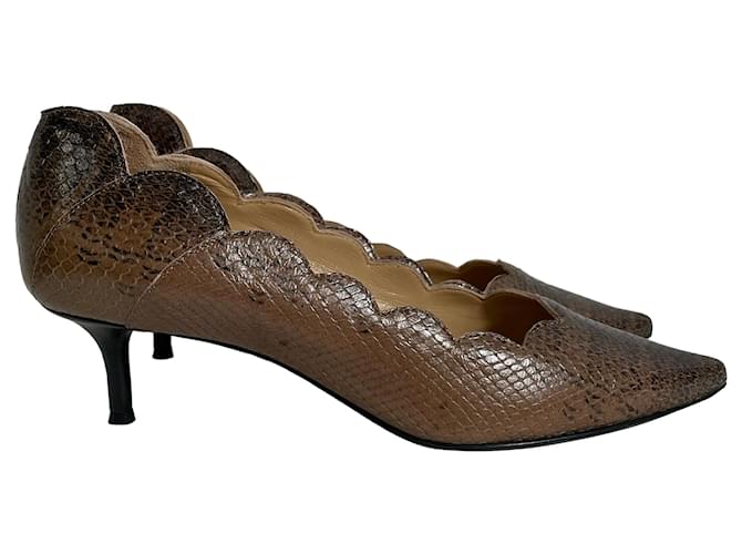 Décolleté a punta in pelle marrone con stampa serpente Chloé