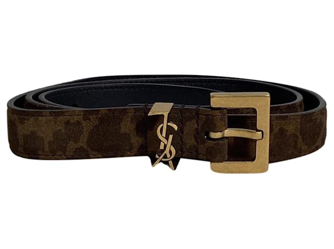 Cintura in suede con stampa animale e logo Saint Laurent. Stampa python