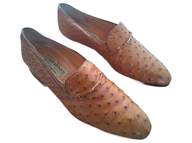 Autre Marque Pianure di struzzi Cammello