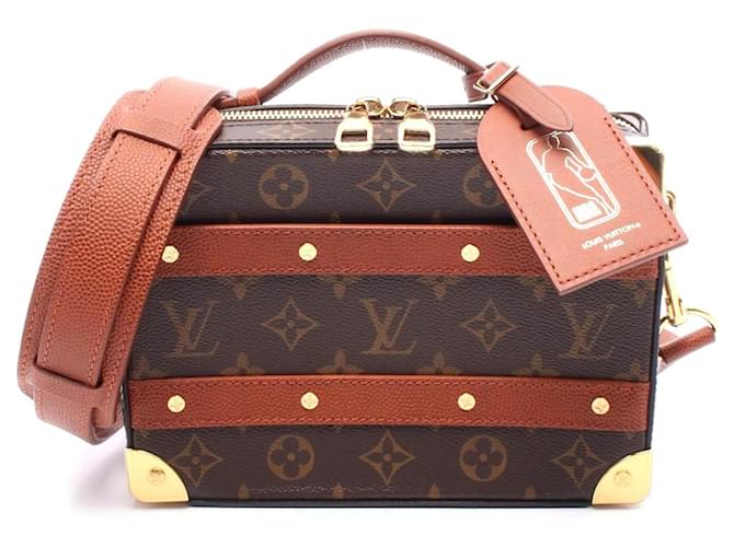 Borsa a mano Soft Trunk Monogram Louis Vuitton Marrone