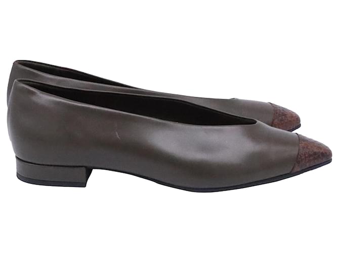 Ballerine a punta cap in pelle di vitello marrone Loro Piana Rebecca Rosso