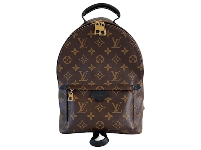 Zaino Louis Vuitton Palm Springs con monogramma PM Marrone
